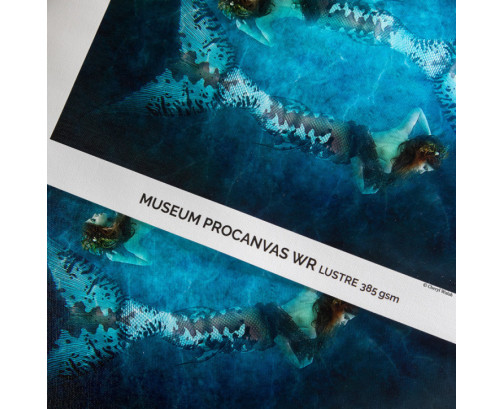 Papier Canson Infinity Museum ProCanvas WR Lustre 100% Cotton 385Gr/m² 1,118 (44") x 12,2m (Ø2")