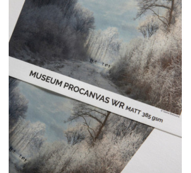 Papier Canson Infinity Museum ProCanvas WR Matte 100% Cotton 385Gr/m² 1,118 (44") x 12,2m (Ø2")