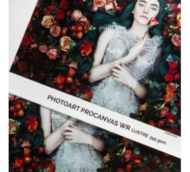 Papier Canson Infinity PhotoArt ProCanvas WR Lustre 395Gr/m² 1,524 (60") x 12,2m (Ø2")