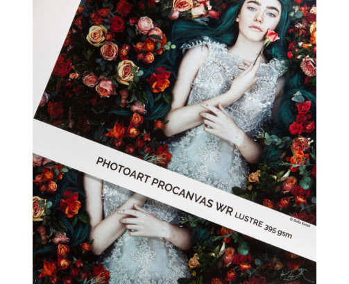 Papier Canson Infinity PhotoArt ProCanvas WR Lustre 395Gr/m² 1,524 (60") x 12,2m (Ø2")